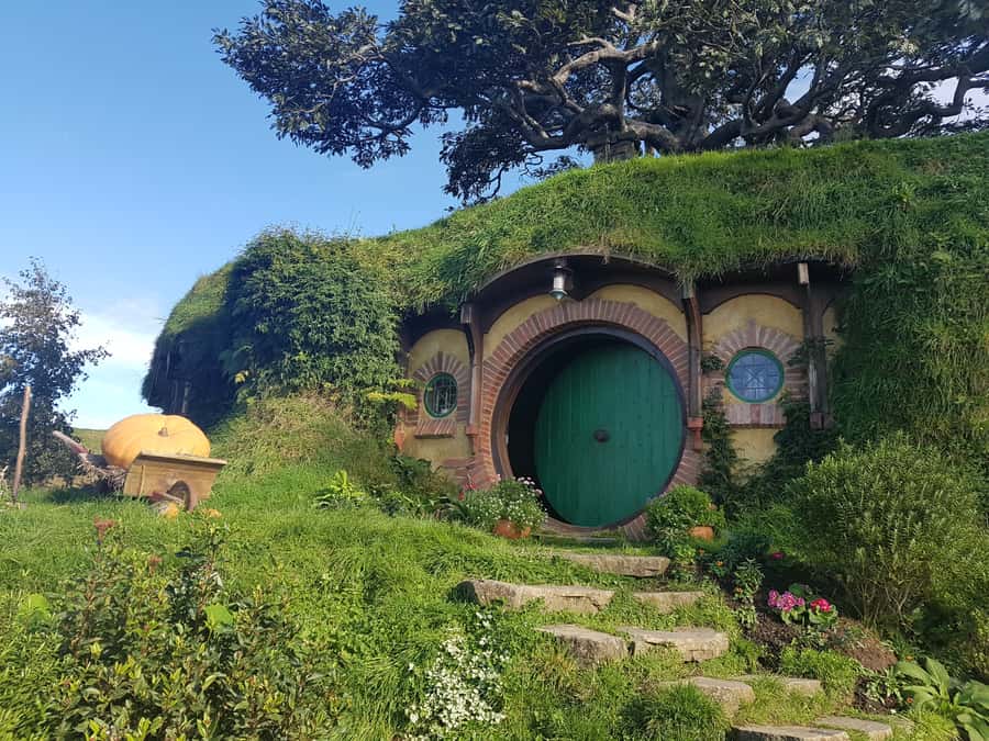 From Auckland: Hobbiton & Rotorua Tour with Lunch at Te Puia - The road trip part: scenic driving with live commentary