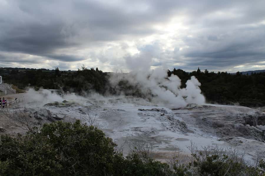 From Auckland: Hobbiton & Rotorua Tour with Lunch at Te Puia - The buffet lunch at Te Puia: simple, filling, and timed well