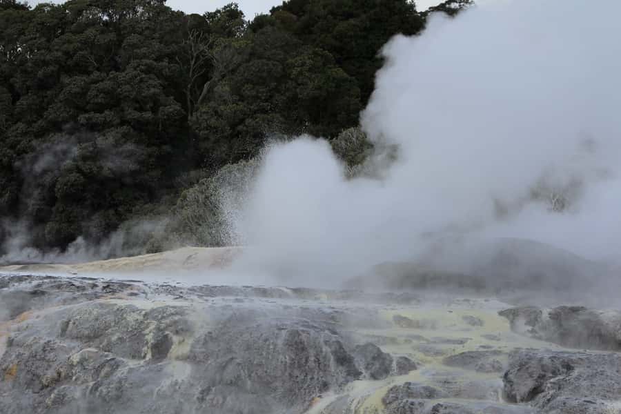 From Auckland: Hobbiton & Rotorua Tour with Lunch at Te Puia - Comfort and group size: why this feels easier than a big coach
