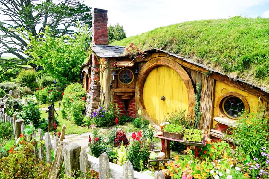 From Auckland: Hobbiton & Rotorua Tour with Lunch at Te Puia - Getting picked up in Auckland without the long hotel shuffle
