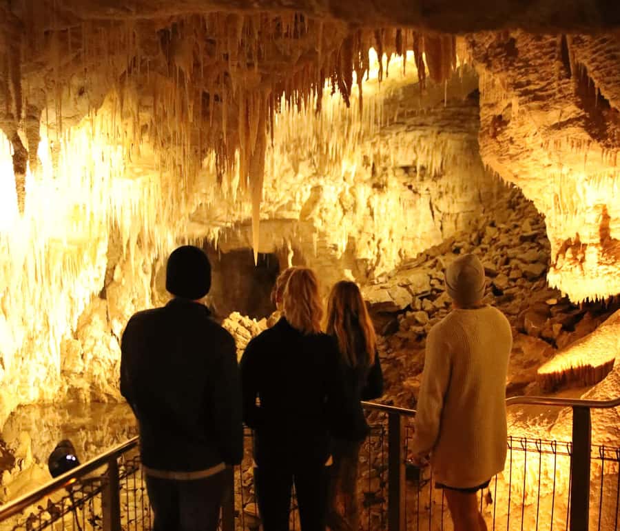 From Auckland: Hobbiton & Waitomo Caves Full-Day Trip - Price and value: why $269 can be fair for this combo