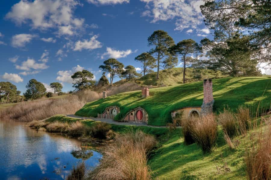From Auckland: Hobbiton & Waitomo Caves Full-Day Trip - Who should book this tour, and who might rethink it
