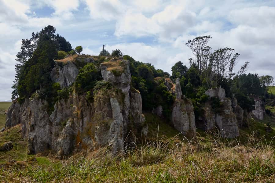 From Auckland or Rotorua: Hobbiton & Waitomo Tour with Lunch - Price and value: why $286 can make sense