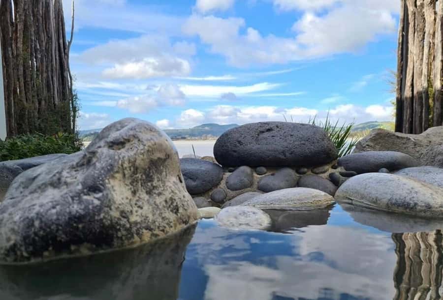 From Auckland: Rotorua Māori Village & Hot Springs with Haka - My booking verdict: should you do it?