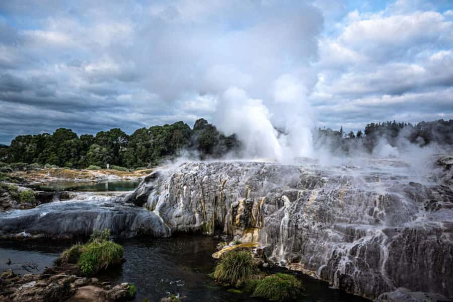 From Auckland: Rotorua Te Puia, Haka & Polynesian Spa Tour - Te Puia geothermal park: Pohutu Geyser and sulfur-scented walking