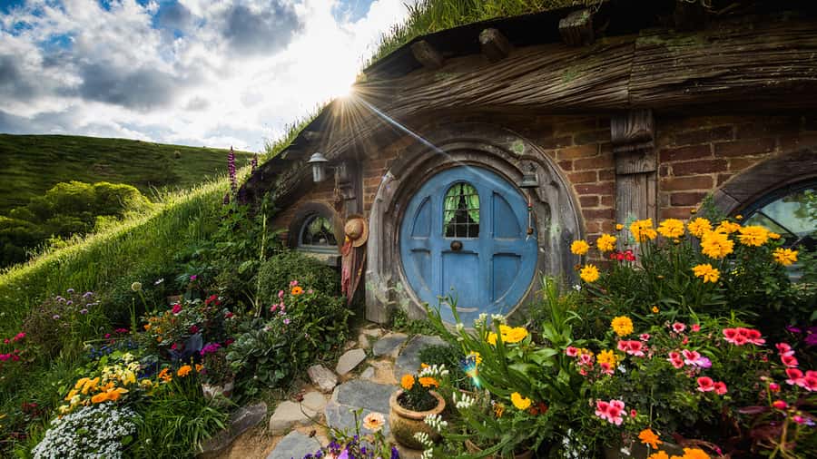 From: Auckland: Rotorua via Hobbiton Tour One Way Tour - Waikato countryside: the door-to-door minibus ride