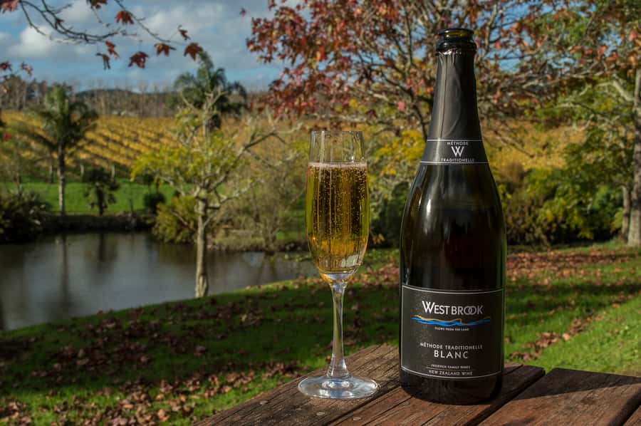 From Auckland: Small Group Kumeu Wine Tour with Lunch - Kumeu Wine Country and the Auckland-to-Coast Switch-Up