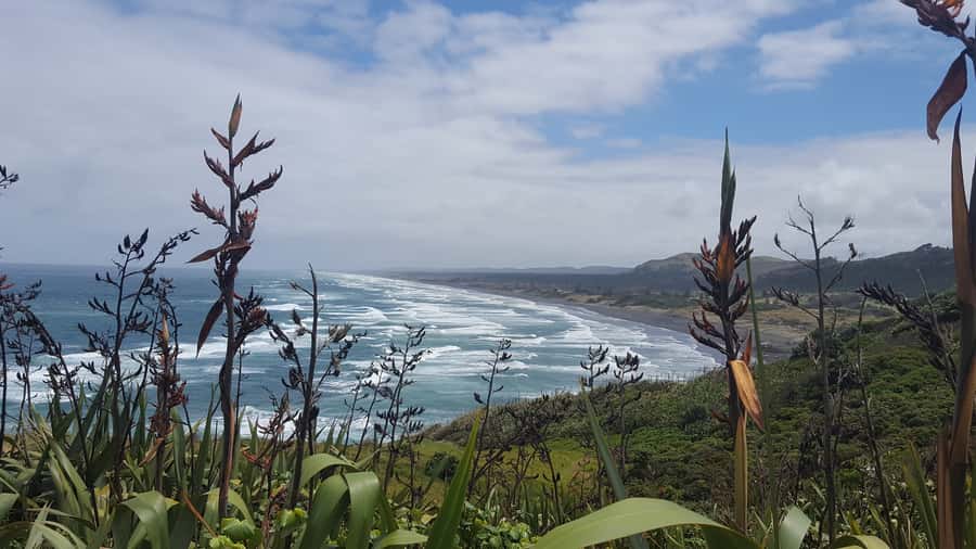 From Auckland: Small Group Kumeu Wine Tour with Lunch - What the Tour Does Well (And What to Watch For)