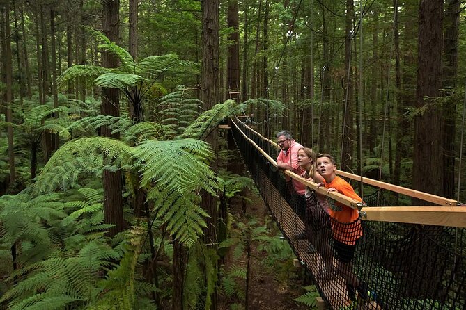 From Auckland to Rotorua Waiotapu and Activity Combinations - Your one afternoon choice: Māori culture, Te Puia, Polynesian Spa, or Redwoods Forest