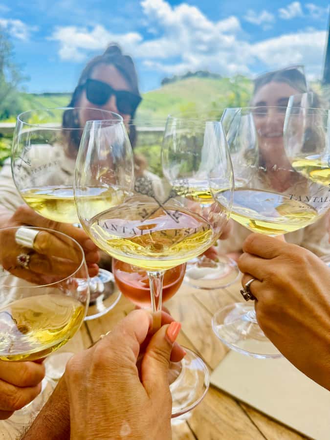 From Auckland: Waiheke Island Wineries' Tour - Key things to know before you go