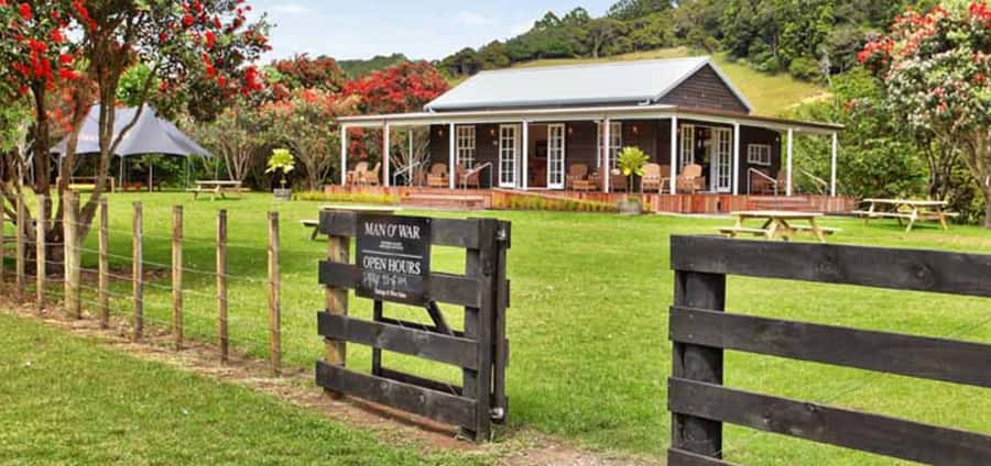 From Auckland: Waiheke Island Wineries' Tour - Price and logistics: where the $110 really lands