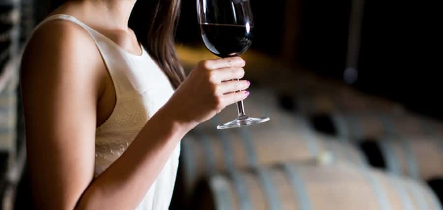 From Auckland: Waiheke Island Wineries' Tour - Meeting your guide and the small-group vibe