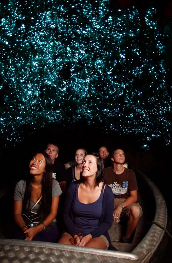 From Auckland: Waitomo Caves and Kiwi House Group Tour - Key points before you go