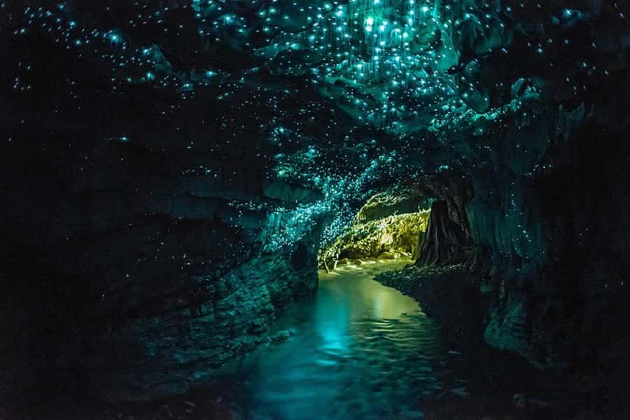 From Auckland: Waitomo Glow Worm Caves & Rotorua Tour - Auckland to Waitomo to Rotorua: a 12-hour “big hits” day