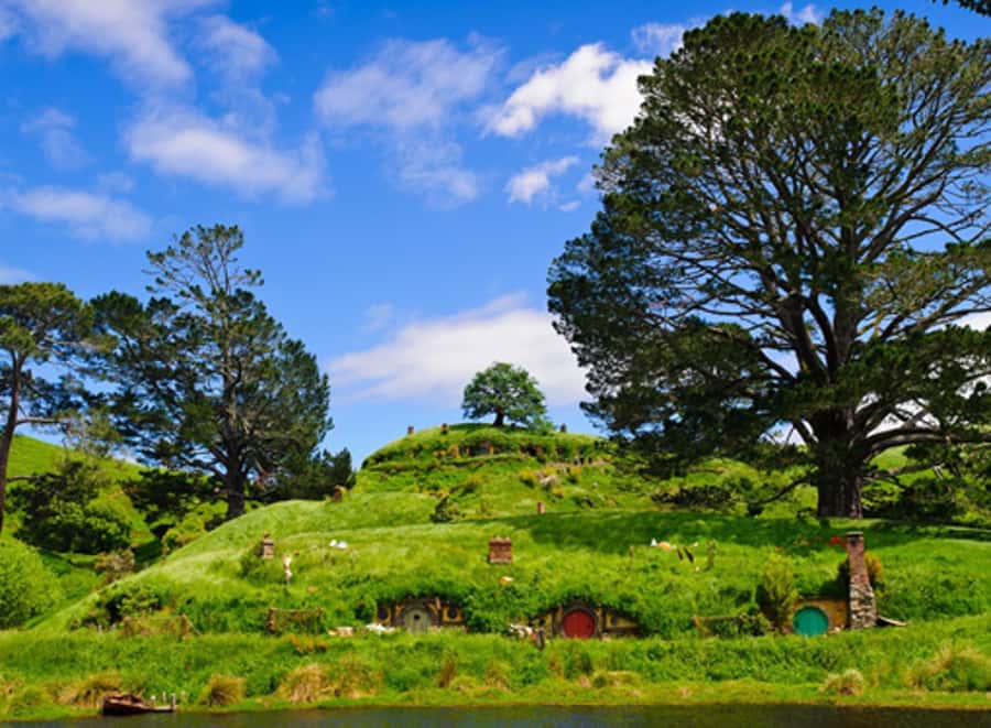 From Auckland: Waitomo & Hobbiton Bus Tour with Lunch - Quick Hitters: What Makes This Day Trip Worth It