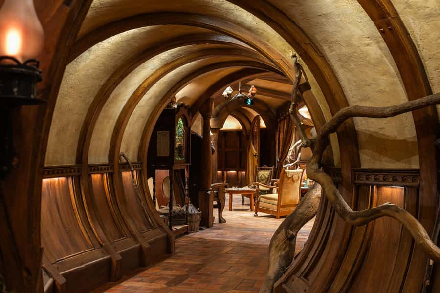From Auckland: Waitomo & Hobbiton Bus Tour with Lunch - Premium GreatSights Coach: Comfort on the Auckland to Waitomo Run