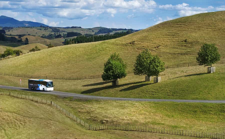 From Auckland: Waitomo & Hobbiton Bus Tour with Lunch - What the Driver/Guide Commentary Adds (and Why It’s Not Just Small Talk)