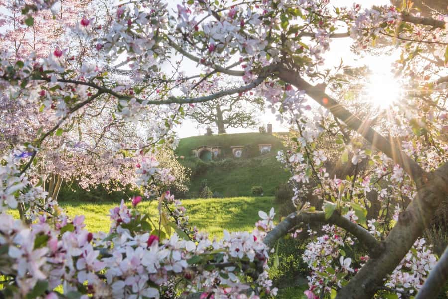 From Matamata: Guided Hobbiton Experience with Bus Transfers - Who this tour suits best (and who might want to think twice)