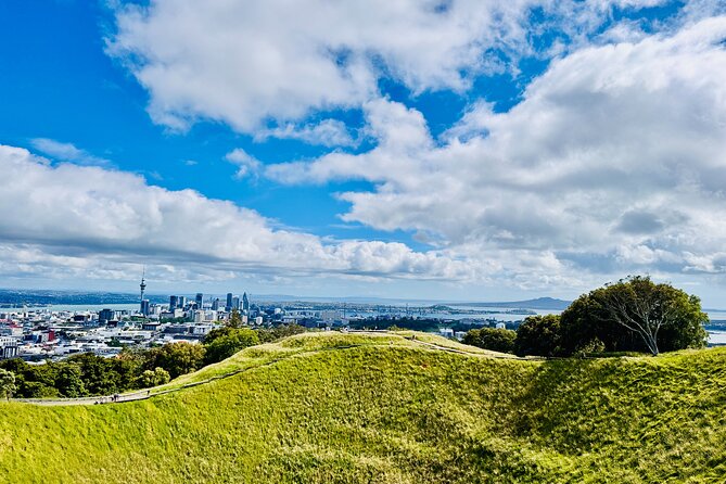 Full-Day Auckland Discovery - Key highlights worth the attention