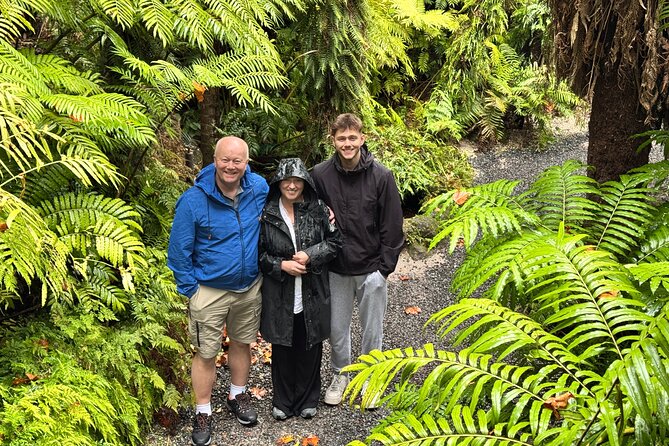Full-Day Auckland Discovery - The “best of Auckland” route that actually makes sense