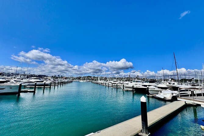 Full-Day Auckland Discovery - Mission Bay’s MJ Savage Memorial Park: gardens and wide East-to-West views