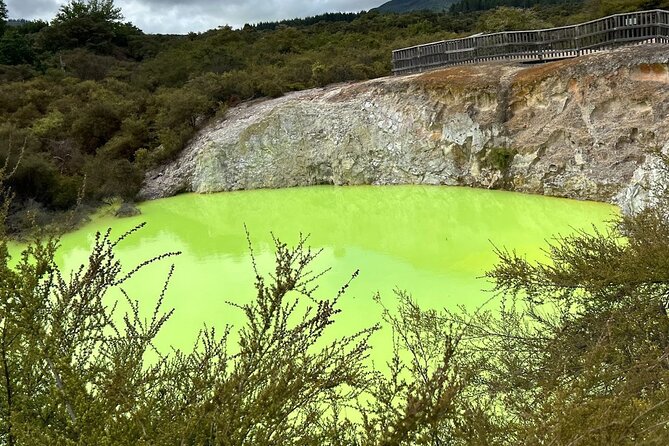 Full-Day Driver with Tesla Car-Customisable North Island Tour - Price and value: what $335.11 per person really buys