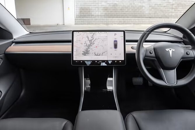 Full-Day Driver with Tesla Car-Customisable North Island Tour - Putaruru Blue Spring: the quick reset stop