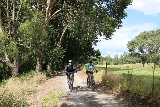 Full Day Ebike Tour in Karangahake Gorge (ex Auckland) - E-bikes and gold rush remains: the vibe here