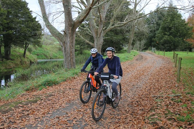 Full Day Ebike Tour in Karangahake Gorge (ex Auckland) - Waikino Gold Museum: the underground kilns and lunch by the river