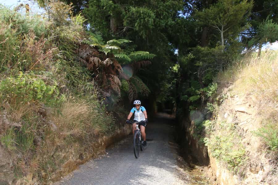 Full Day Ebike Tour - Karangahake Gorge NZ - Key Things That Make This Karangahake Gorge E-Bike Day Worth It