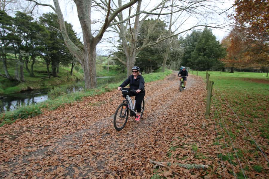 Full Day Ebike Tour - Karangahake Gorge NZ - Victoria Battery: Gold-Era Machinery You Can Still Sense