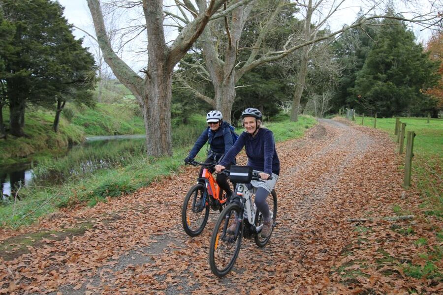 Full Day Ebike Tour - Karangahake Gorge NZ - The Martha Gold Mine Pit Rim Walk: The Scale Hit