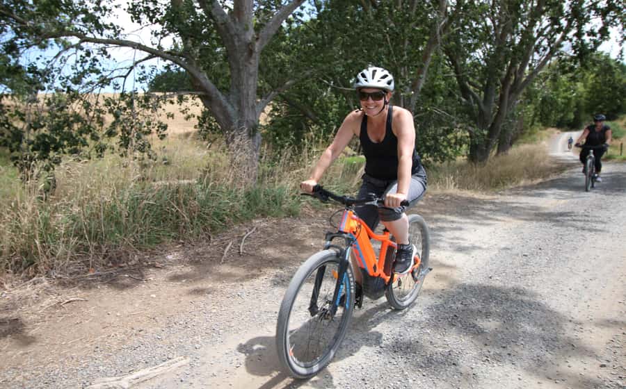 Full Day Ebike Tour - Karangahake Gorge NZ - Getting There From Auckland Without Turning It Into a Chore