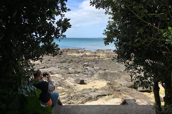 Full-Day Grand Auckland Volcanoes Tour - Getting there: port pickup, the 148 Quay Street start, and a small minivan reality