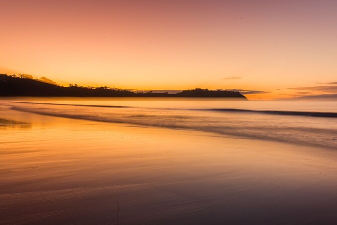 Full Day Private Waiheke Island Wine Tour Including Lunch - Three premium or reserve tastings: how the wine day is staged