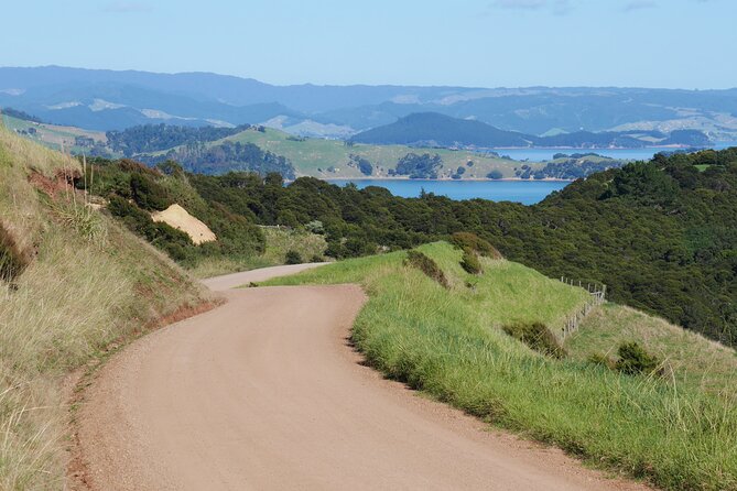 Full Day Private Waiheke Island Wine Tour Including Lunch - Price and logistics: where the value comes from
