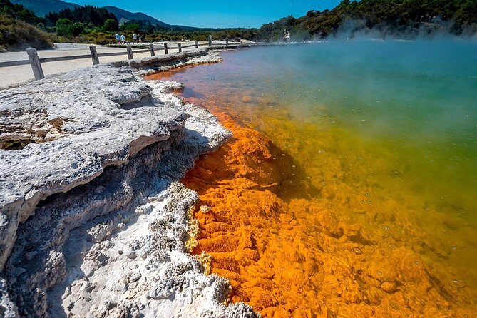 FULL DAY ROTORUA TOUR - Fully Customisable 13 hours Unlimited KMS - Should you book this Rotorua and Taupō private tour?