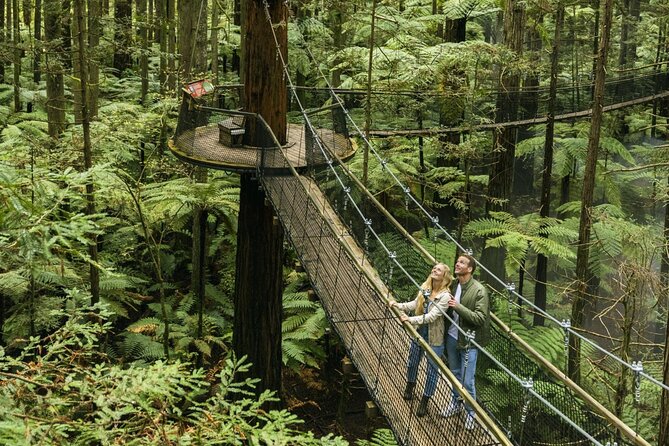 FULL DAY ROTORUA TOUR - Fully Customisable 13 hours Unlimited KMS - How the 13-hour day schedule actually feels on the ground