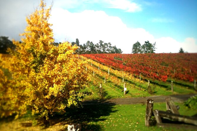 Full-Day Wine Tasting Tour in Auckland with 3-Course Vineyard Lunch - Westbrook Winery in the Ararimu Valley: classic, respected, and easy to enjoy
