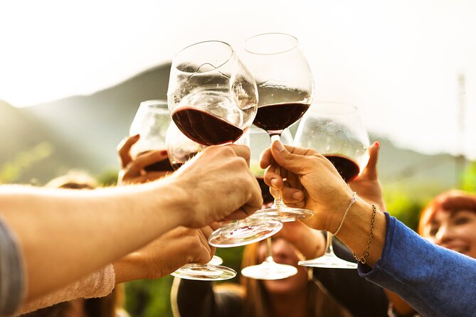 Full-Day Wine Tasting Tour in Auckland with 3-Course Vineyard Lunch - Price and value: why $123.49 can actually make sense here