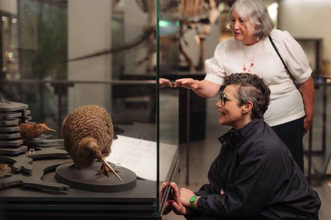 Gallery Highlights Tour and General Admission - Why the Auckland War Memorial Museum Works as a First Stop