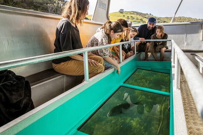 Glass Bottom Boat Tour - Glass-Bottom Comfort in Auckland’s Goat Island Marine Reserve
