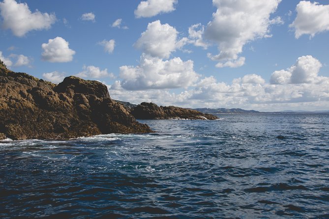 Glass Bottom Boat Tour - Why This Marine Reserve Experience Feels Different From a Typical Sightseeing Trip