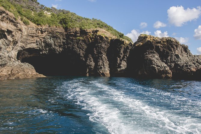 Glass Bottom Boat Tour - Tips for Families and First-Timers Watching Through Glass