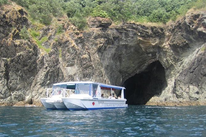 Glass Bottom Boat Tour - Stop One at Goat Island Marine Reserve: Fish, Rays, and Birds From Above