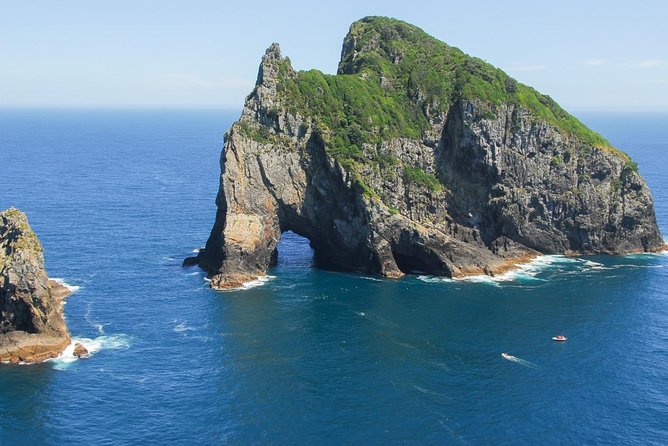 Group tour to Bay of Islands return from Auckland - Getting Out of Auckland: Pickup, WiFi, and the Long Scenic Drive