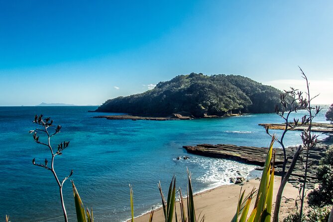 Guided Snorkel Experience, Advanced - Who this is best for at Goat Island (and who should think twice)