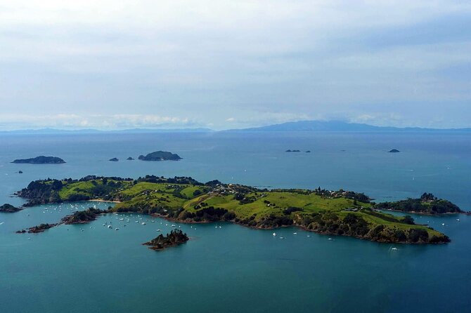 Guided Snorkeling and Island Exploration in Auckland - Getting to Tiritiri Matangi: the wharf meeting and ferry reality