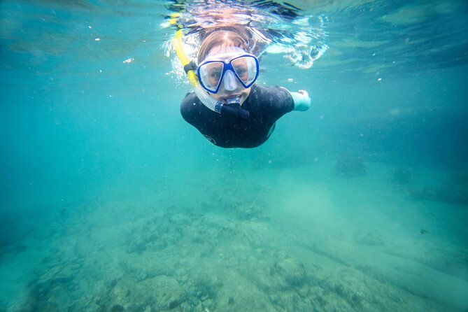 Guided Snorkeling and Island Exploration in Auckland - How the 4 hours really works: water time first, then island time