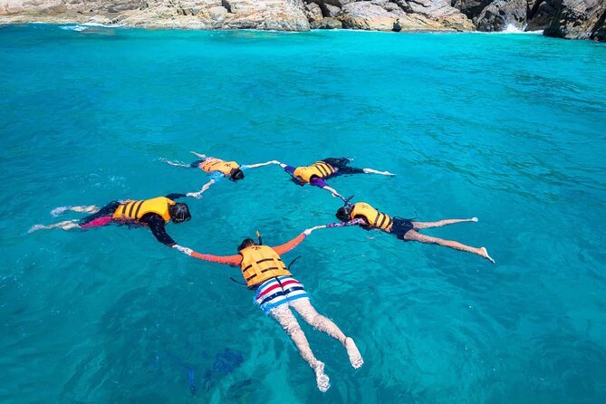 Guided Snorkeling and Island Exploration in Auckland - Snorkeling setup: wetsuits, mask fit, and staying comfortable